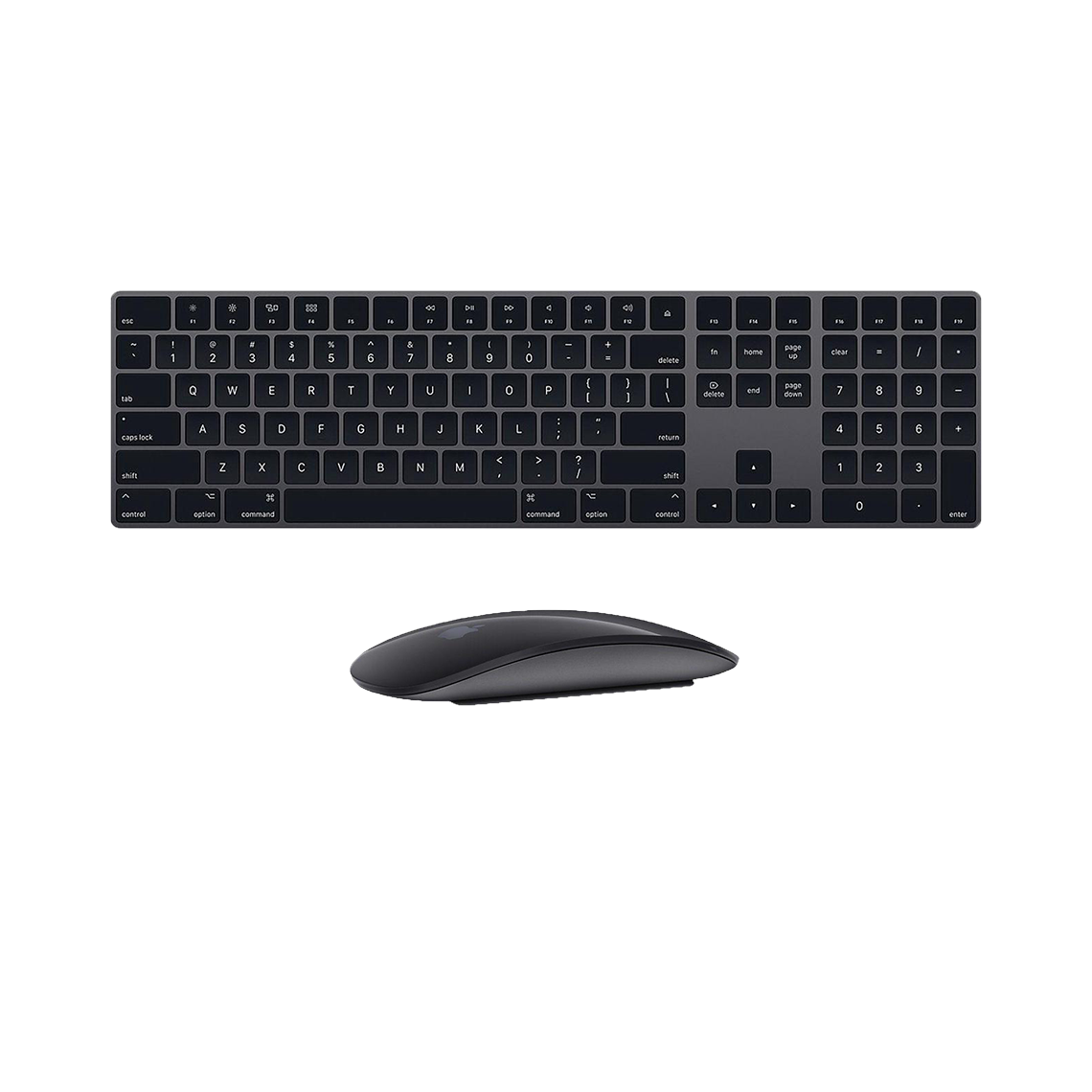 Apple wireless black extended keyboard and magic mouse