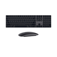Apple wireless black extended keyboard and magic mouse