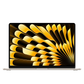Apple 15-inch MacBook Air starlight front view