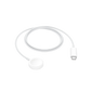 Apple USB-C watch charger
