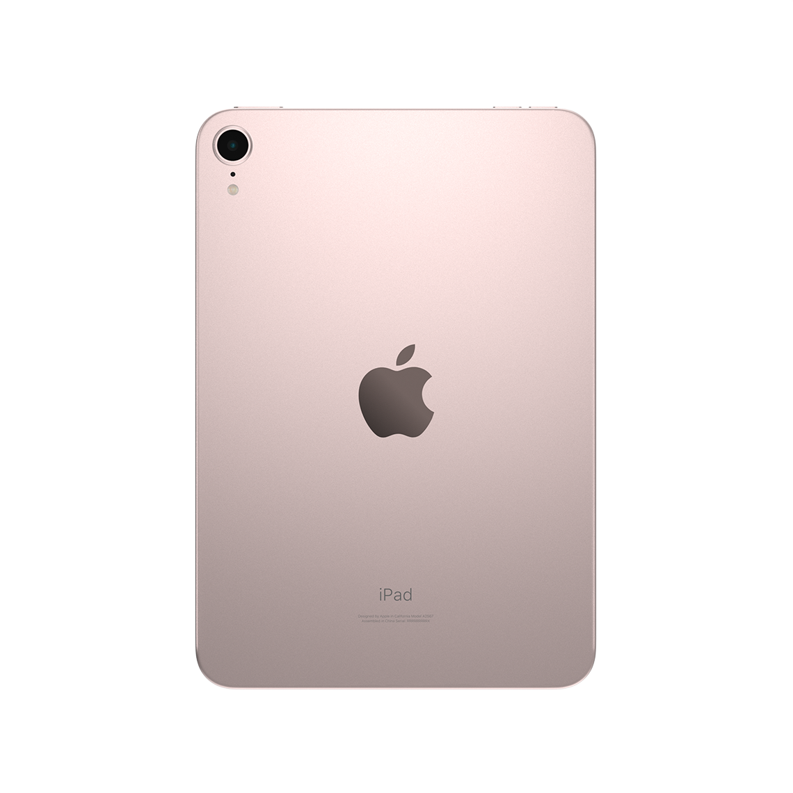 Apple iPad Mini pink rear view