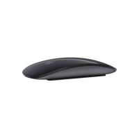 Apple Magic Mouse 2 space gray