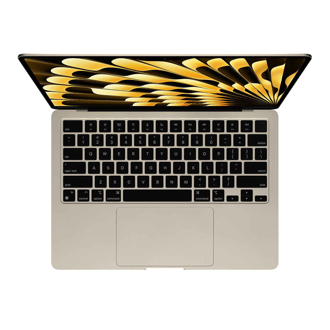 Apple 13-inch MacBook Air M4 chip, 16GB RAM, 256GB Flash, 8