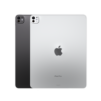 iPad Pro 2024 (Current Model) (Parent Product)