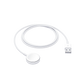 Apple USB Type A watch charger