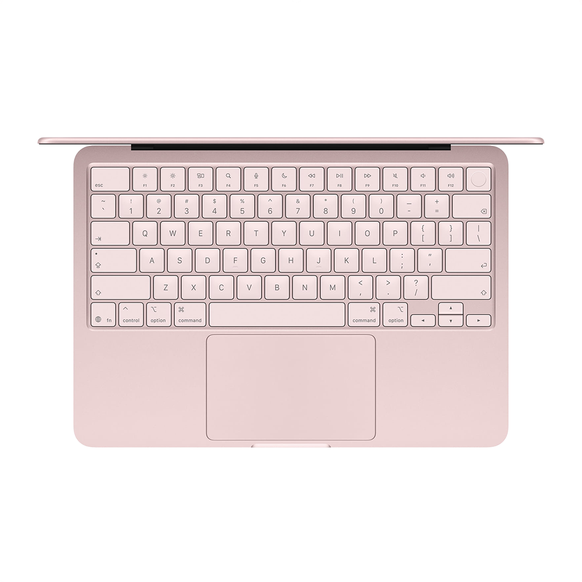 Apple MacBook Neo with Touch ID blush open top view