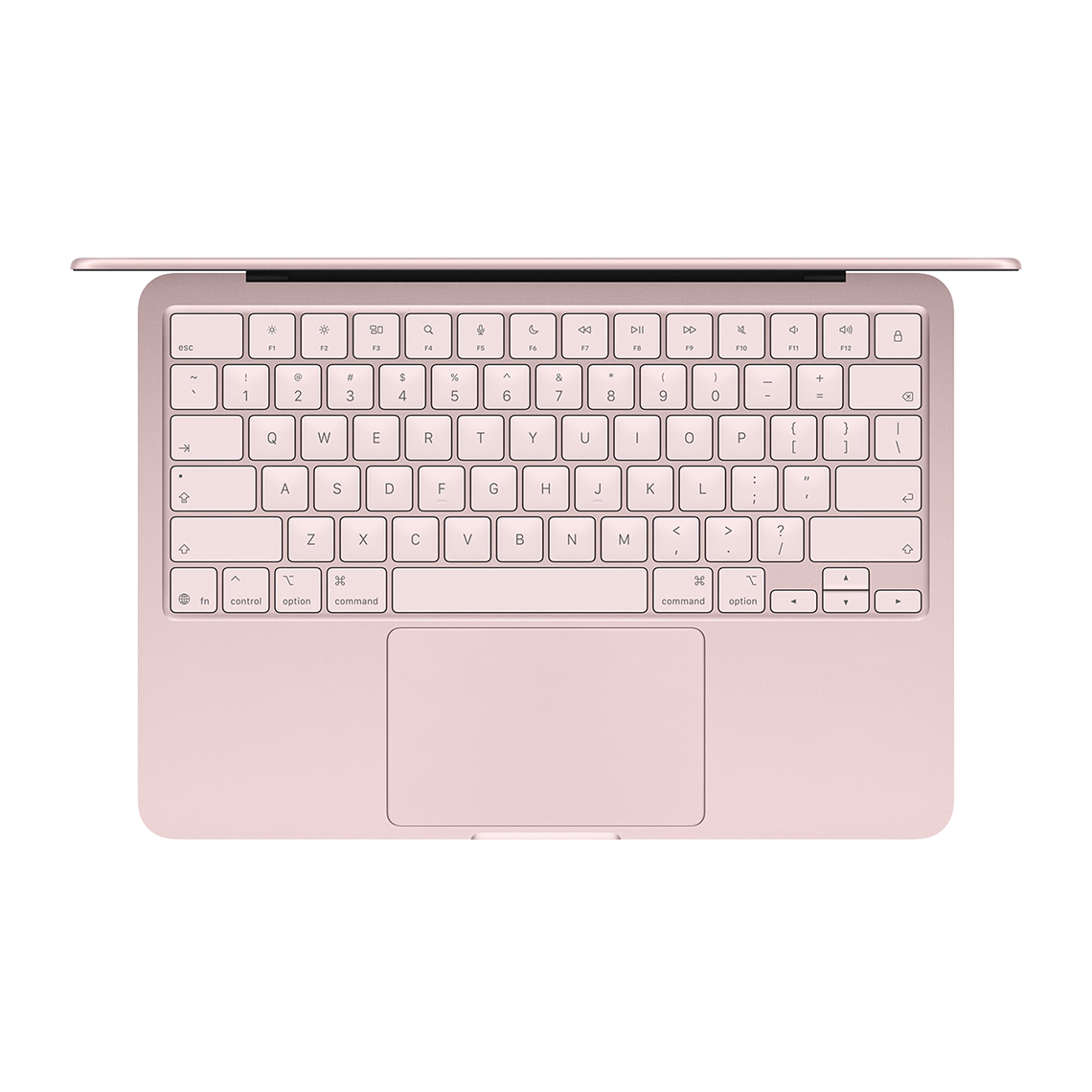 Apple MacBook Neo blush open top view